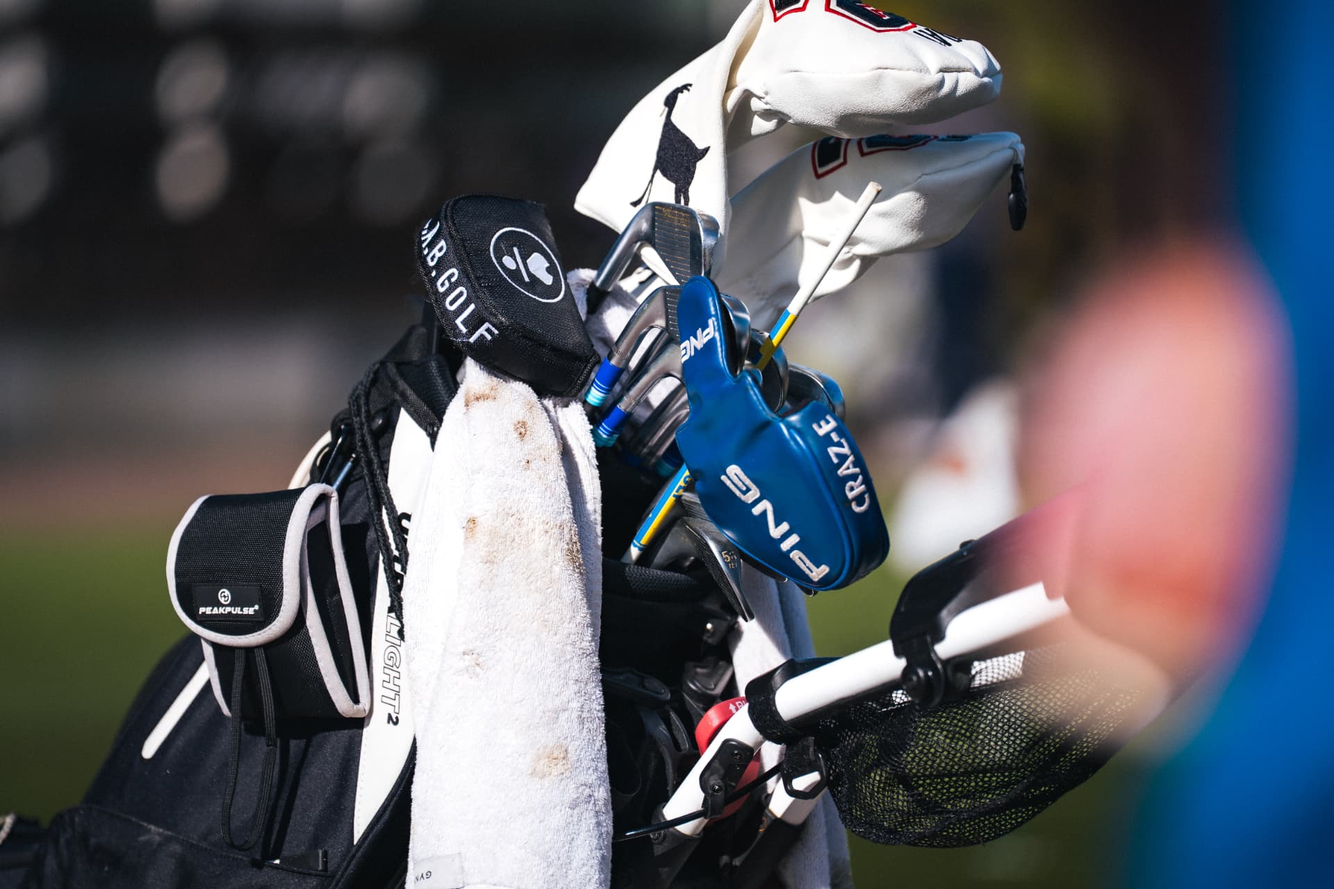 Golfbag med klubbor i solljus