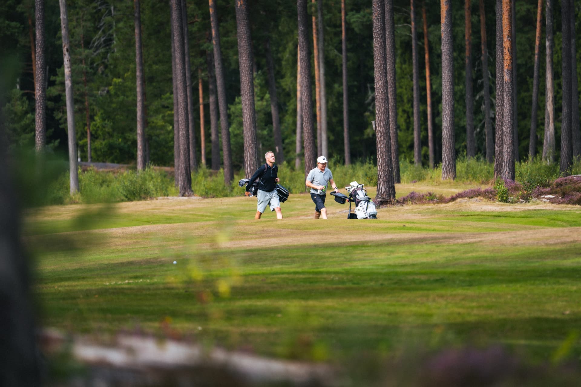 Två spelare på väg över fairway i tallskogen